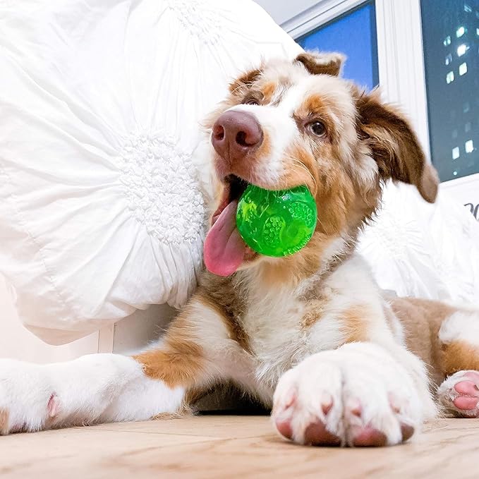 Hyper Pet DuraSqueak Dog Ball Dog Toys (Interactive Dog Toys that Float & Squeak) Squeaky Dog Toys & Dog Balls for Playing, Fetching & Retrieving-Great Alternative to Traditional Dog Tennis Balls-3.5"