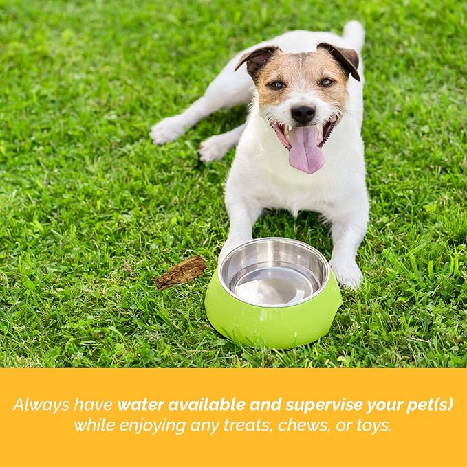6 Inch Bully Sticks for Dogs (1 Pound Bag) 100% Natural Chews for Dogs & Puppies - Grass-Fed Free-Range Premium Beef Dog Chews - Bulk Dog Sticks Chew Dental Treats