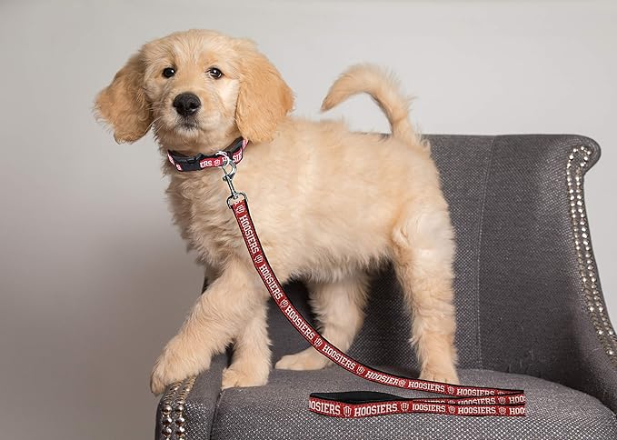Pets First Collegiate Pet Accessories, Dog Leash, Indiana Hoosiers, Medium