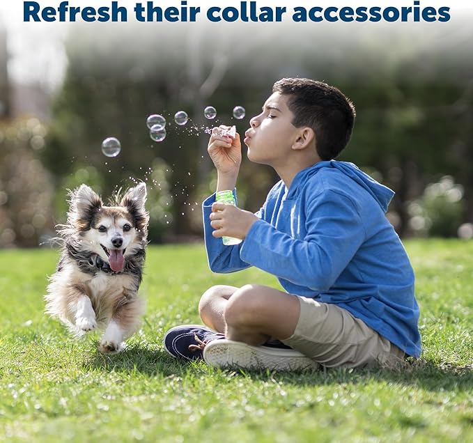 PetSafe Replacement Collar Accessory Kit for Pet Fencing Receiver Collars - Includes Short and Long Contact Points, Level Covers, Hardware - From the Parent Company of INVISIBLE FENCE Brand 2.5 x 0.45mm x 15mm