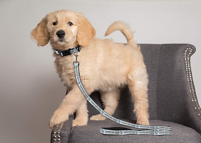 MLB PET Leash, Small, Tampa Bay Rays Dog Leash, Baseball Team Leash for Dogs & Cats. A Shiny & Colorful Dog & Cat Leash with Emboridered Team Name/Logo Licensed by the MLB