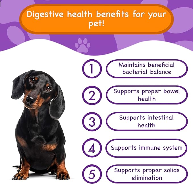 Digestive Supplements for Dogs, Vitamins, Inulin - Beneficial Bacterial Balance, Fiber, Probiotics - Healthy Gut Microbes, Bowel, Intestinal, Immune Support, Proper Solids Elimination