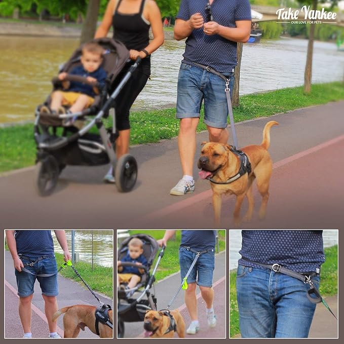 Hands Free Bungee Leash + Dual Dog Leash Coupler Kit Multifunctional + Retractable Traffic Jogging Hiking Leash & Reflective Pet Leash • Adjustable Body System + Padded Handles • Take Yankee