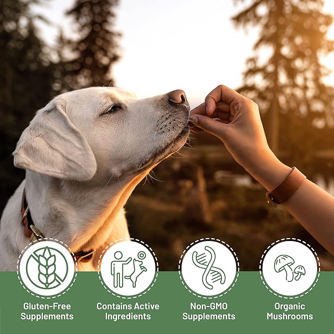 K9 Immunity Plus - Potent Immune Booster for Dogs 30-70 lbs - Certified Organic – Mushroom Enhanced Supplement - Veterinarian Recommended Dog Health Supplement - 60 Chews 2 Pack