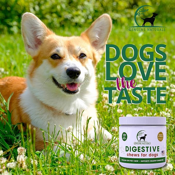 Digestive Supplement for Dogs - Recommended Probiotics Chew by FurParents - Improves Digestive and Gut Health, Helps with Diarrhea, Upset Stomach, Bad Breath & Constipation, 120 Count