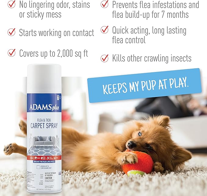 Adams Carpet Spray + Shampoo Bundle