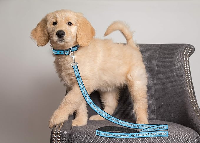 NFL PET Leash, Large, Carolina Panthers Dog Leash, Football Team Leash for Dogs & Cats. A Shiny & Colorful Dog & Cat Leash with Embroidered Team Name/Logo Licensed by the NFL