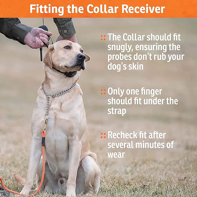 SportDOG Brand 425X Shock Collar - Remote Trainer with Extra Collar - Train 2 Dogs - 500 Yard Range Collar with Shock, Vibrate and Tone, Rechargeable - (1) Black and (1) Orange Dog Training Collars