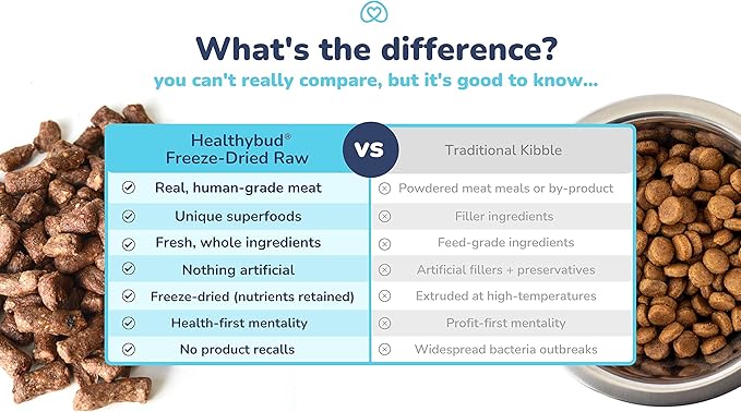 healthybud Raw Dog Food, Freeze Dried Beef Bites, Grain Free Puppy Food, Human Grade, High Protein, Dehydrated Real Meat Dog Treats & Toppers, 14.1 oz