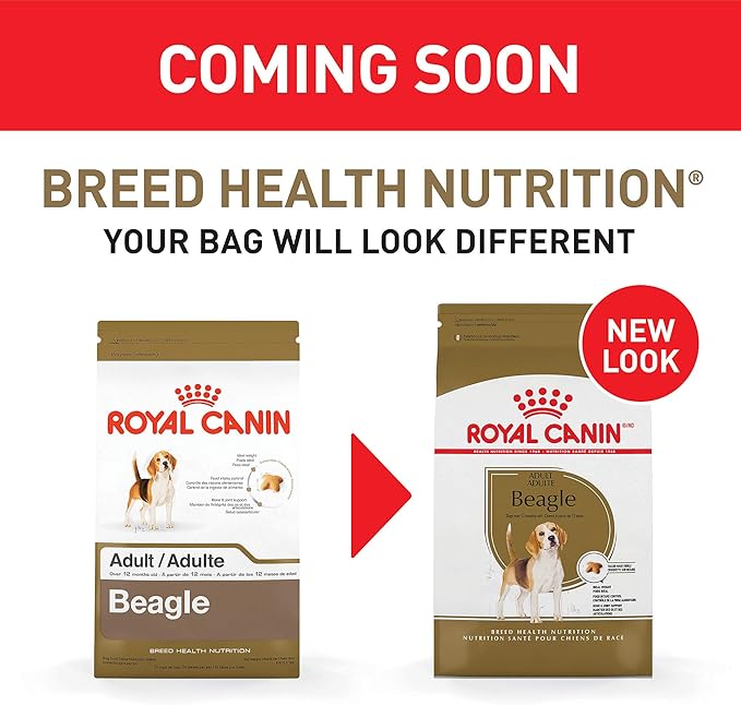 Royal Canin Beagle Adult Dry Dog Food, 6 lb bag