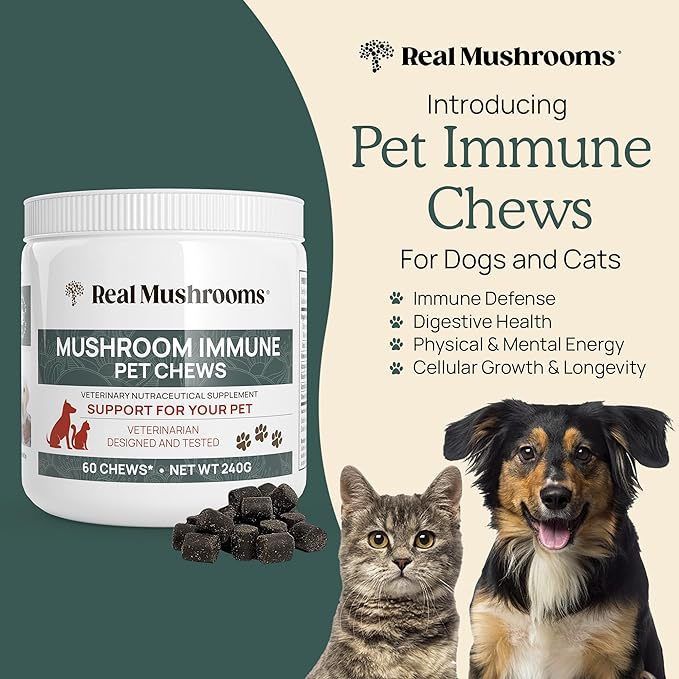 Mushroom Immune Support Pet Chews (60ct) treats for dogs – Immune booster supplements for pets with Ashwagandha, Astragalus, Blueberry, Olive Leaf, Acerola &Gut Health for Dogs and Cats