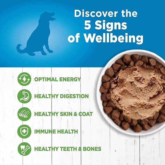 Wellness Simple Natural Wet Canned Limited Ingredient Dog Food, Lamb & Potato, 12.5-Ounce Can (Pack of 12)