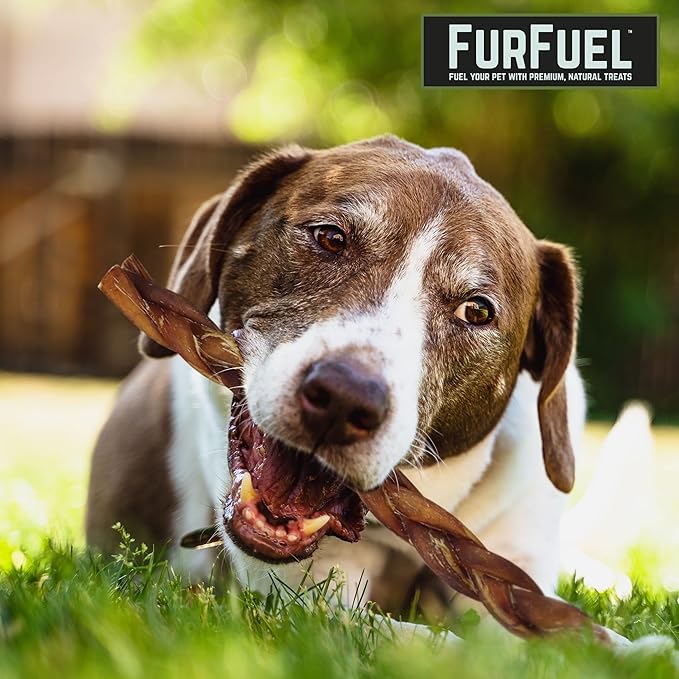 Braided Bully Sticks Variety Pack for Dogs - Suitable for Small, Medium, and Large Breeds – 6 Pack of 12-Inch Dog Bully Sticks - Low Odor, All-Natural Chew (12 Inch, 6 Count)