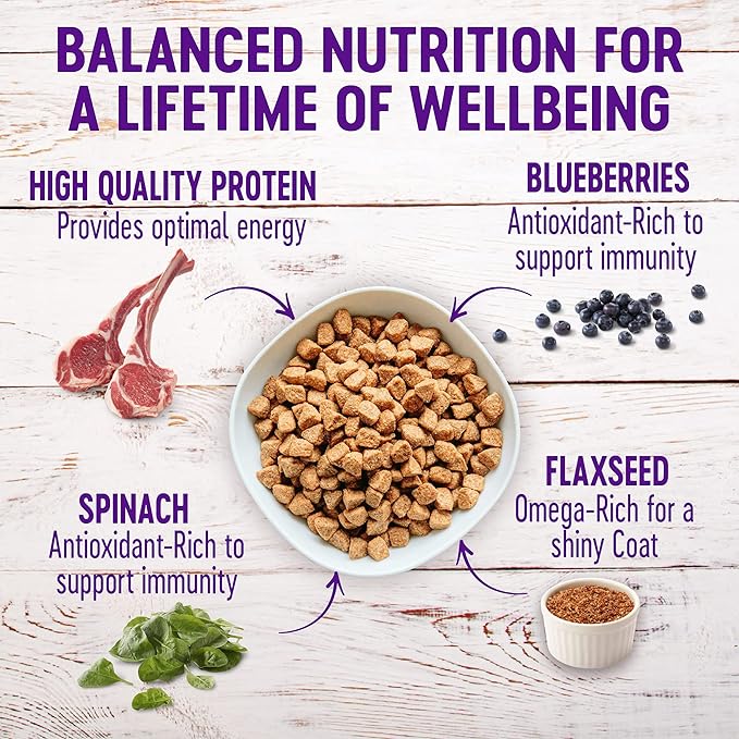 Wellness Complete Health Grain-Free Dry Dog Food, Natural Ingredients, Made in USA with Real Meat, For All Lifestages (Lamb, 24-Pound Bag)