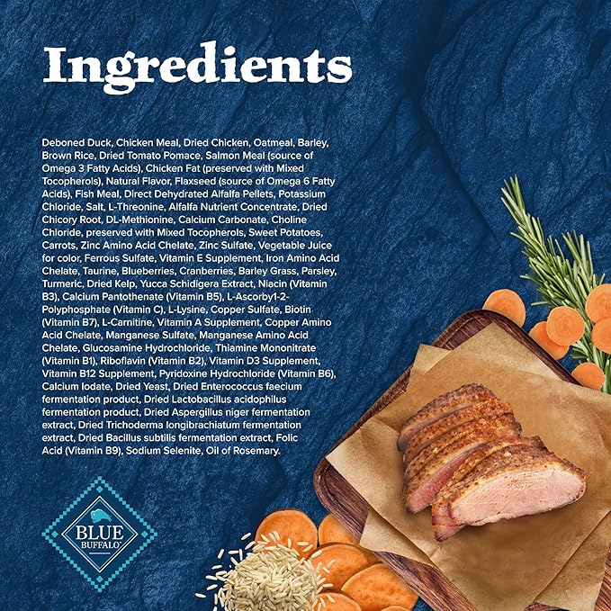 Blue Buffalo Wilderness High Protein Natural Adult Dry Dog Food plus Wholesome Grains, Duck 24 lb bag