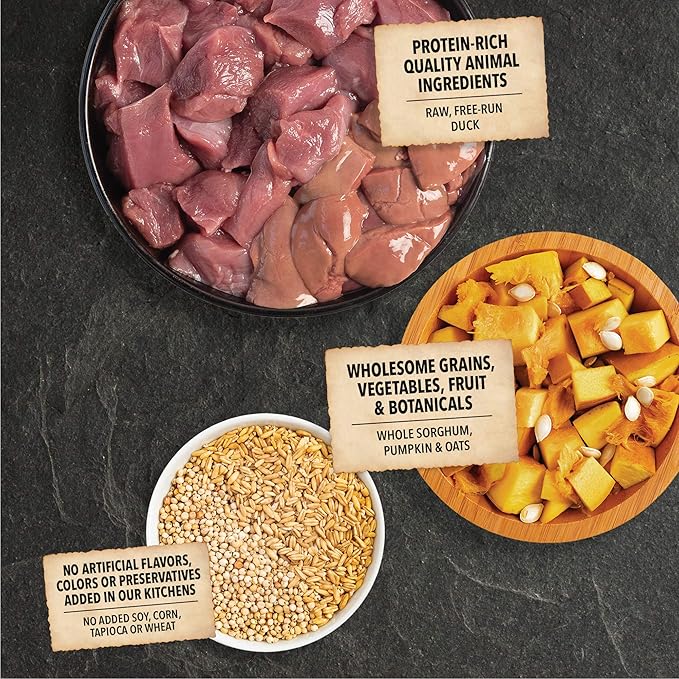 ACANA Wholesome Grains Limited Ingredient Diet Dry Dog Food, Duck & Pumpkin Recipe, Single Protein Duck Dog Food, 4lb