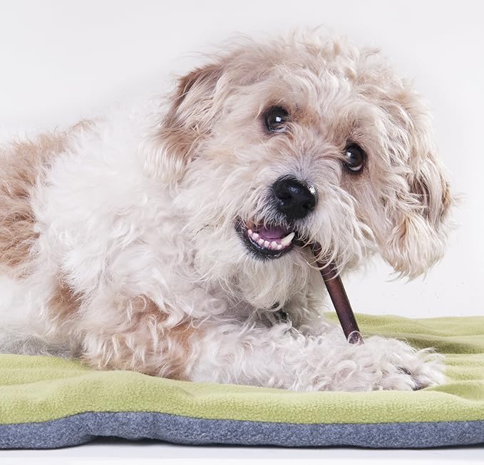 Downtown Pet Supply - Bully Sticks for Dogs - Dog Dental Treats & Rawhide-Free Dog Chews - Dog Treats with Protein, Vitamins & Minerals- Natural Beef Sticks - 4-5 in - 2 lbs