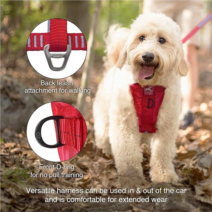 Kurgo Dog Harness and Direct to Seat Belt Tether for Dogs | Car Safety Accessories for Pets | Crash Tested | Quick Installation