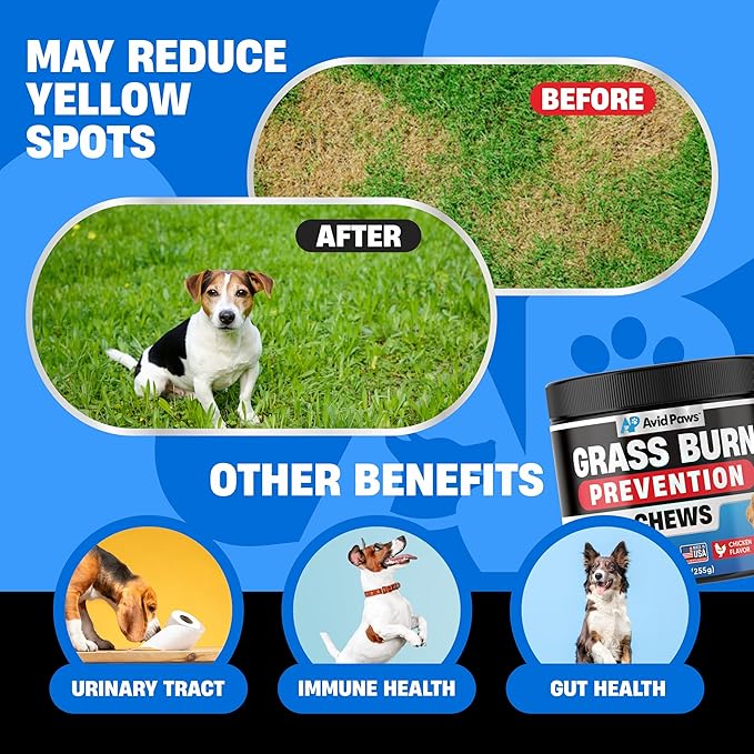 Dog Urine Neutralizer for Lawn - Green Grass Dog Chews Helps Lawn Burn from Dog Urine - Dog Pee Grass Neutralizer - Grass Savers for Dog Urine - Dog Rocks Alternative - Urinary Tract & Bladder Support