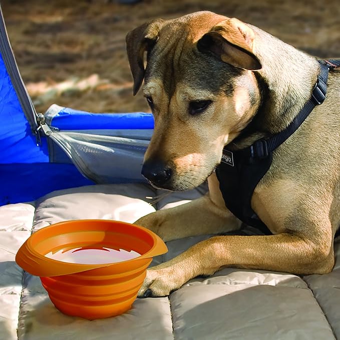 Kurgo Collaps-A-Bowl for Dogs, Collapsible Travel Dog Bowl, Pet Food & Hiking Water Bowl, Food Grade Bowl for Dogs, Travel Accessories for Pets, includes Carabiner (24 oz, Orange)