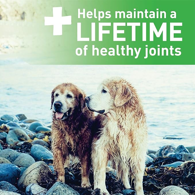 Greenies Aging Care Regular Natural Dental CareDog Treats, 27 oz. Pack (27 Treats)