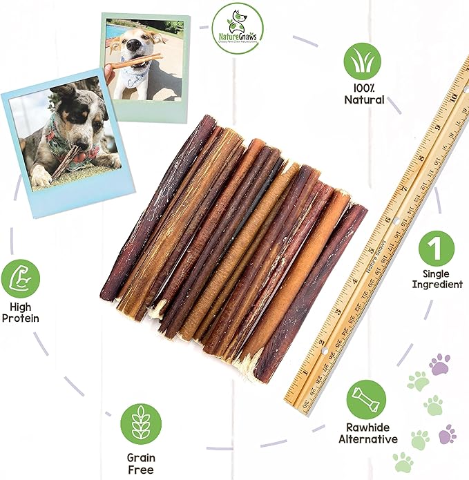 Nature Gnaws Bully Sticks for Large Dogs - Premium Natural Beef Dental Bones - Thick Long Lasting Dog Chew Treats for Aggressive Chewers - Rawhide Free - 6 Inch (10 Count)