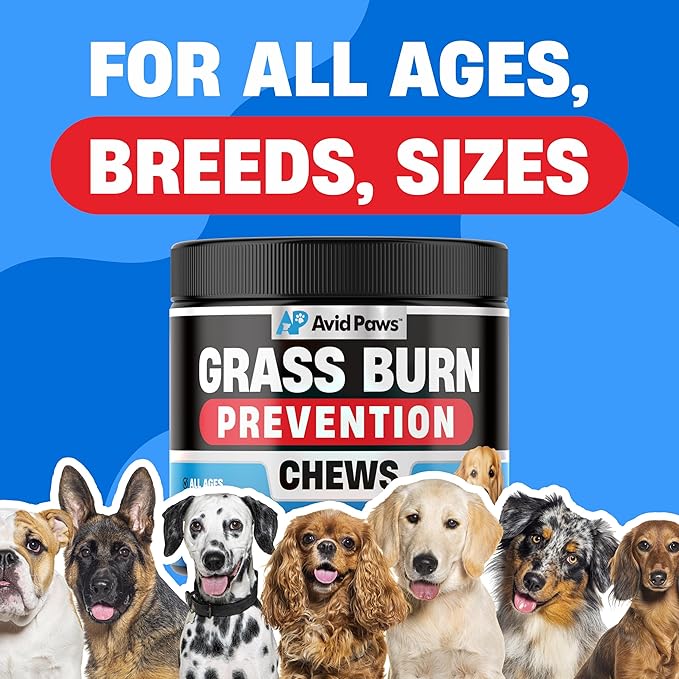 Dog Urine Neutralizer for Lawn - Green Grass Dog Chews Helps Lawn Burn from Dog Urine - Dog Pee Grass Neutralizer - Grass Savers for Dog Urine - Dog Rocks Alternative - Urinary Tract & Bladder Support