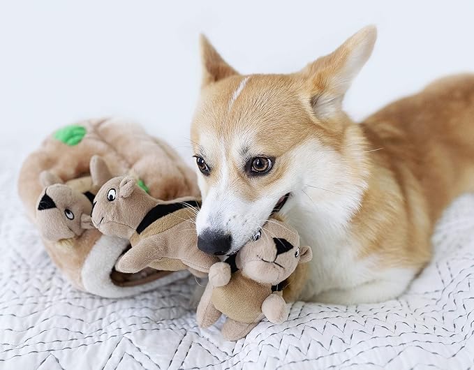 Outward Hound Hide A Squirrel Plush Dog Toy Puzzle, Large