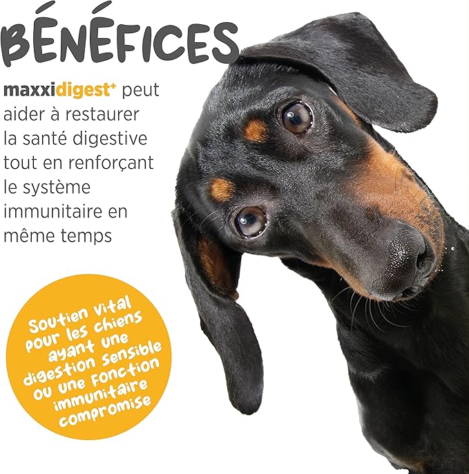 maxxidigest+ Probiotics, Prebiotics and Digestive Enzymes - Digestive and Immune Support Supplement for Dogs – 7 oz