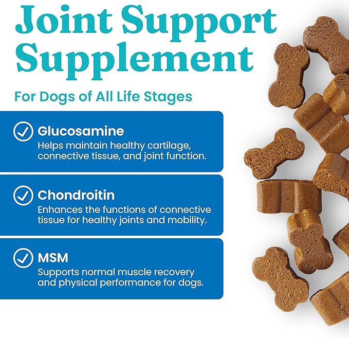 Solid Gold Glucosamine for Dogs Hip and Joint Supplement - Glucosamine Chondroitin MSM for Dog Pain Relief - Leaps & Hounds Chews for Dog Arthritis Pain Relief & Overall Mobility - 120 Soft Chews