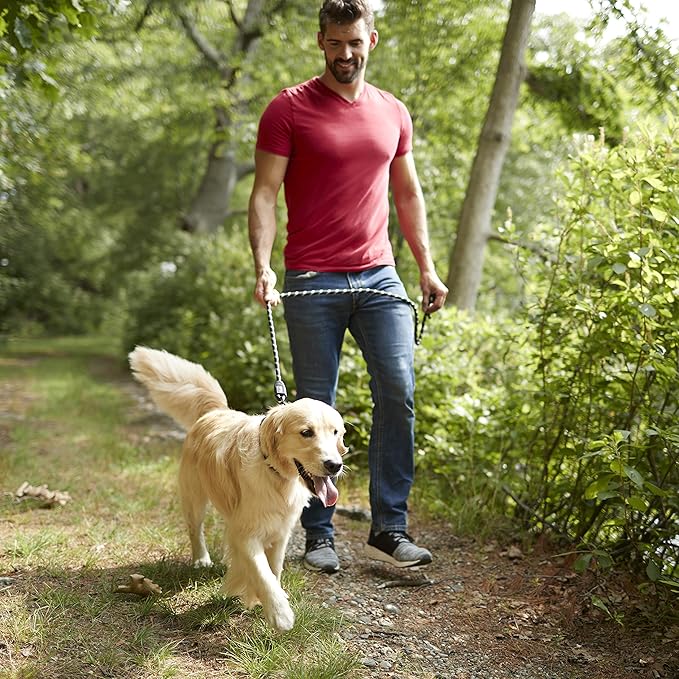 Franklin Pet Supply Nylon Dog Leash - Rope - Reflective - Dog Training - 6 Foot - Dog Walking - Ultra Strong