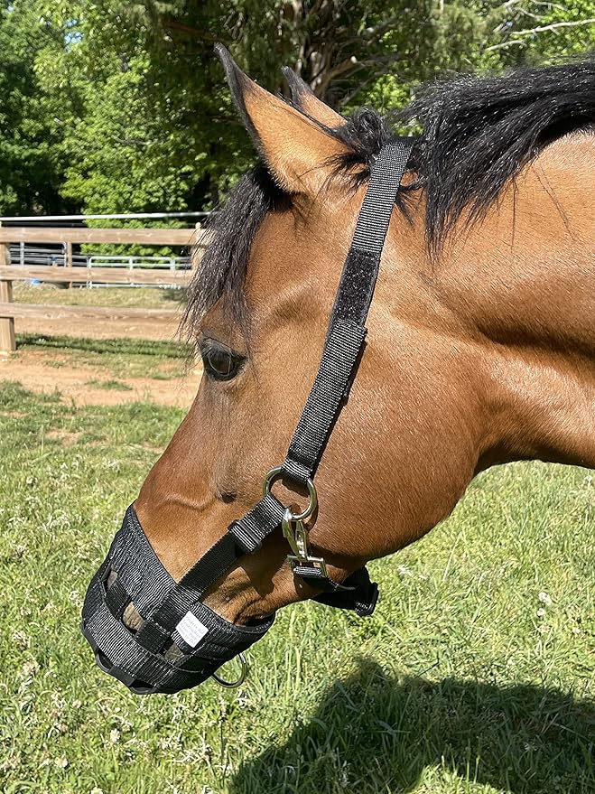 Grazing Muzzle Comfort Lined (Size Choice Pony, Arab Cob Small Quarter Horse, or Horse) Heavy Duty Waffle Neoprene Lining