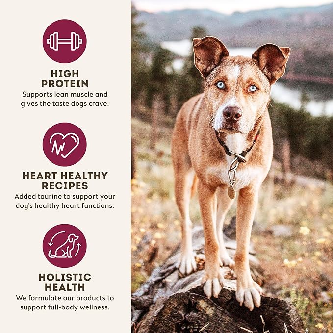 Only Natural Pet MaxMeat Holistic Air Dried Dry Dog Food - All Natural, High Protein, Grain Free and Limited Ingredient - Made with Real Meat - Beef with Pumpkin & Parsley 2 lb