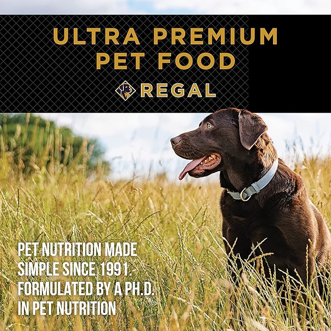 Adult Ocean Recipe (Salmon) All Natural, Slow Cooked Whole Grain Dry Dog Food for All Breeds and Sizes of All Life Stages - Made in The USA, 4 LB Bag