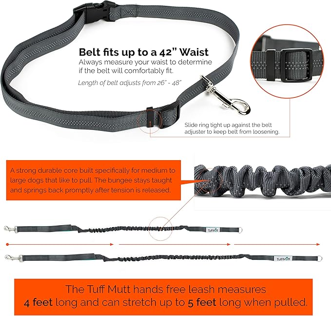 Hands Free Dog Leash, A Dog Running Leash for Dogs That Makes A Great Waist Leash for Dog Walking, Double Handle Bungee Dog Leash with Reflective Stitching and Adjustable Dog Walking Belt