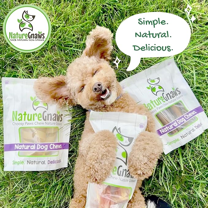 Nature Gnaws USA Beef Tendons for Dogs – Single Ingredient Natural Dental Chews - Long Lasting and Rawhide Free Dog Treats, 8.00 Ounce (Pack of 1)