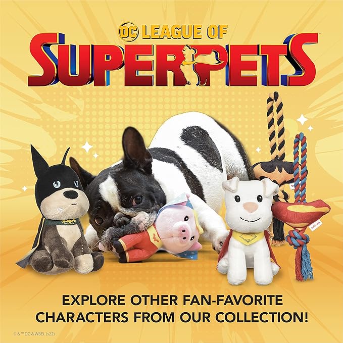 DC Comics League of Super-Pets Krypto Superman Dog Collar, Large | Officially Licensed DC League of Super-Pets Dog Collar | Large Dog Collar DC Krypto Super Dog Superman Style with D-ring for Leash