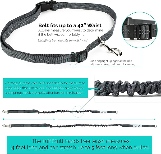 Hands Free Dog Leash, A Dog Running Leash for Dogs That Makes A Great Waist Leash for Dog Walking, Double Handle Bungee Dog Leash with Reflective Stitching and Adjustable Dog Walking Belt