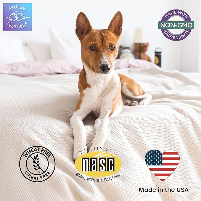 Dog Fiber Soft Chews Supplement - Stop Scooting Digestive Formula Enhanced with Pumpkin, Psyllium Husk, & Beet Pulp - Supports Dogs Healthy Anal Gland, Stool & Constipation - Made in USA, 120 ct