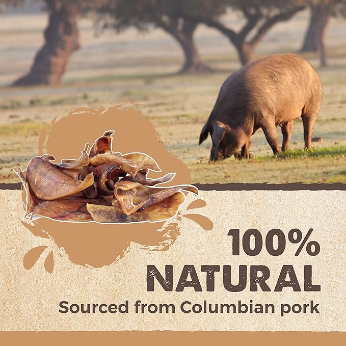 Mighty Paw Half Pig Ears for Dogs - All Natural Single Ingredient Pig Ear Treat - Better Than Rawhide Snacks for Puppies and Large Dogs - A Better Treat Dog Will Love - Dog Toys Compatible Chews