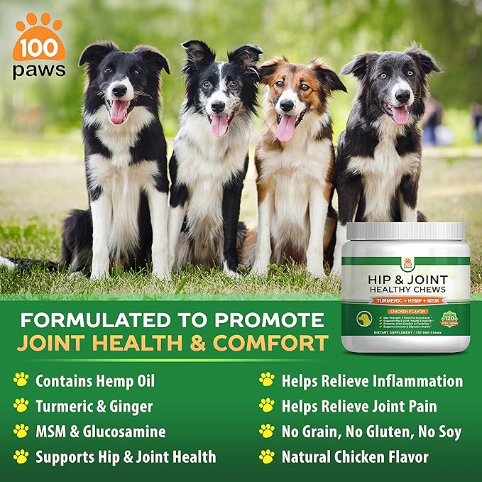 Hip & Joint Supplement for Dogs - Hemp Oil Infused Soft Chews Dog Treats w/Glucosamine, Turmeric, Chondroitin, MSM & Omega 3 6 9 -Supports Pet Mobility & Pain Relief-120 Treat Bites