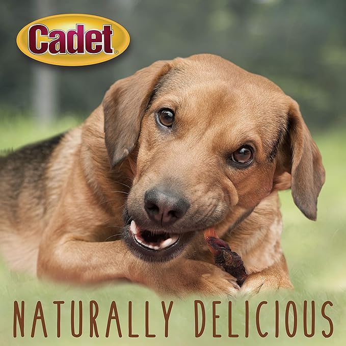 Cadet Gourmet Sweet Potato & Duck Wraps Dog Treats - Healthy & Natural Duck & Sweet Potato Dog Training Treats for Small & Large Dogs - Inspected & Tested in USA (28 oz.)