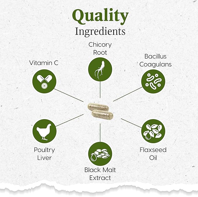 Ark Naturals Gentle Digest Capsules, Vet Recommended Prebiotics and Probiotics to Support Intestinal Balance and Immune System Health in Dogs and Cats, Natural Ingredients, 60 Count