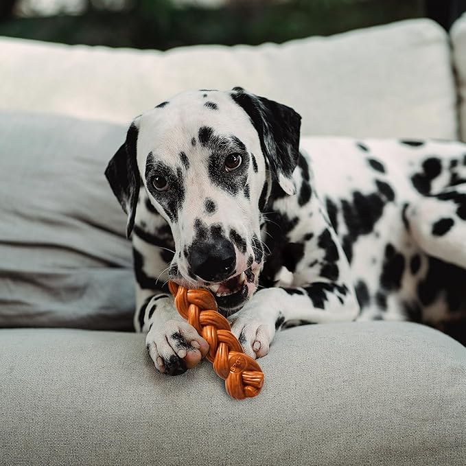 SPOT Bam-Bones Braided Stick - Made with Strong Bamboo Fiber, Durable Long Lasting Dog Chew Toy for Light to Moderate Chewers, for Dogs & Teething Puppies Under 40lbs, 7.25in, Hickory Smoke Flavor