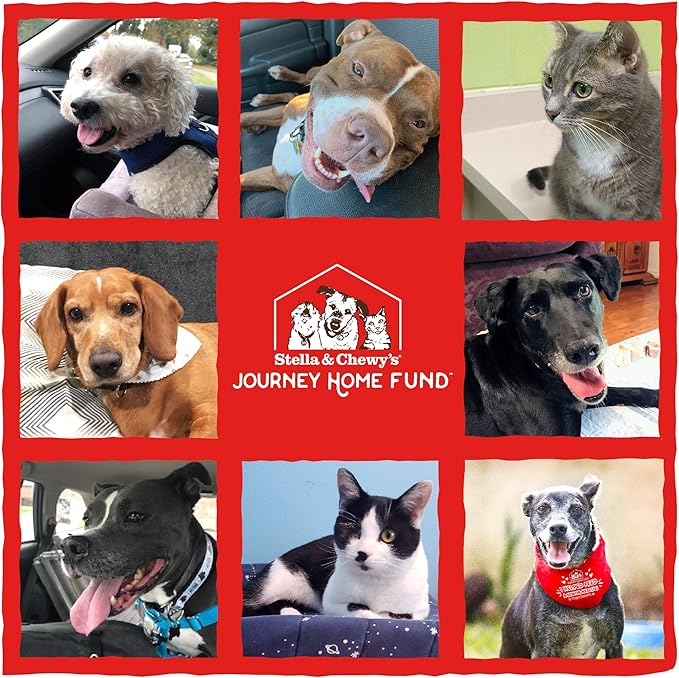 Stella & Chewy's Freeze-Dried Raw Cage-Free Duck Meal Mixer SuperBlends Grain-Free Dog Food Topper, 16 oz. bag, Freeze-Dried Raw Meal Mixer SuperBlends