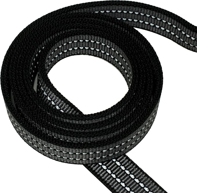 Franklin Pet Supply Nylon Dog Leash – Reflective – Comfort Fit – Neoprene Handle – 6 Foot – Dog Training – Walking – Purple