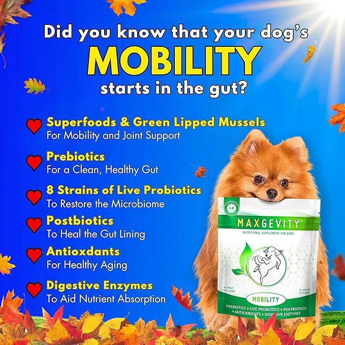 MAXGEVITY Mobility, Hip & Joint Support Meal Topper with Glucosamine & Green Lipped Mussels, Live Probiotics, Pre & Postbiotics, Digestive Enzymes, and Antioxidants | Up to 180 Day Supply.