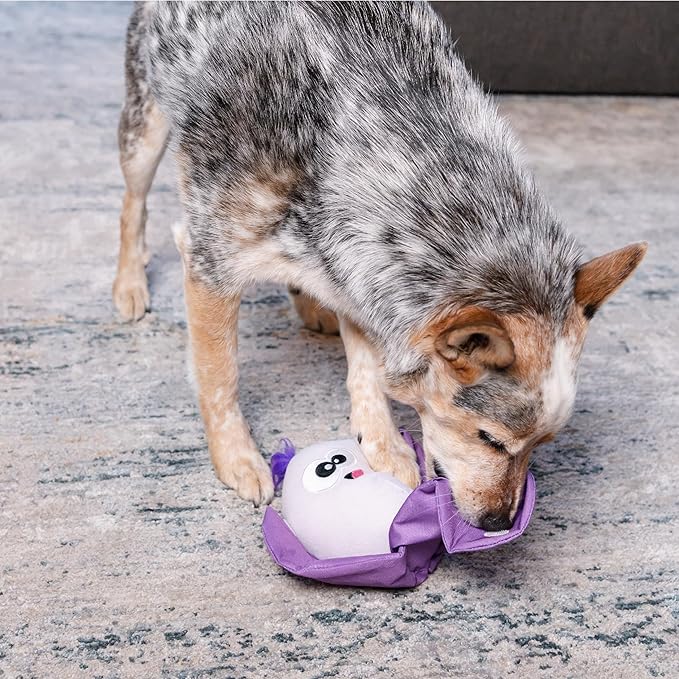Outward Hound Nina Ottosson Hide N' Find Interactive Plush Dog Puzzle, Dog Enrichment Toys, Plush, Durable Dog Toy, Cauliflower, Purple