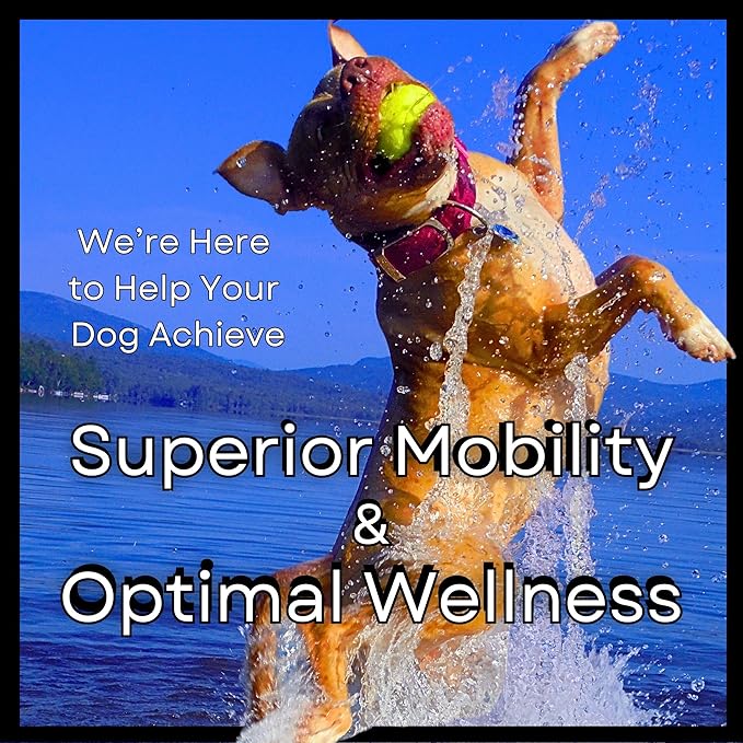 MAXGEVITY Mobility, Hip & Joint Support Meal Topper with Glucosamine & Green Lipped Mussels, Live Probiotics, Pre & Postbiotics, Digestive Enzymes, and Antioxidants | Up to 90-Day Supply