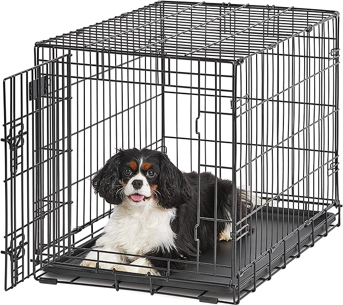 Medium Dog Crate | MidWest Life Stages 30" Folding Metal Divider Panel, Floor Protecting Feet, Plastic Tray 30L x 19W 21H Inches, Breed
